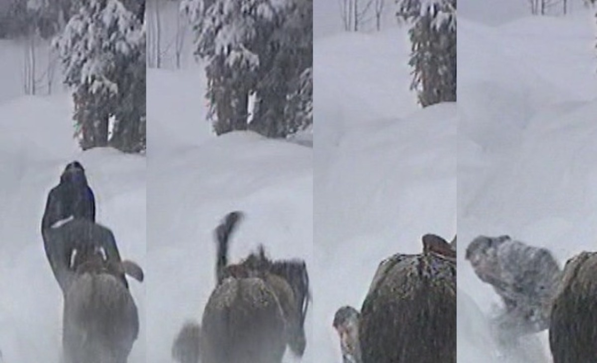 Ποιον τραγουδιστή πέταξε κάτω το άλογο;