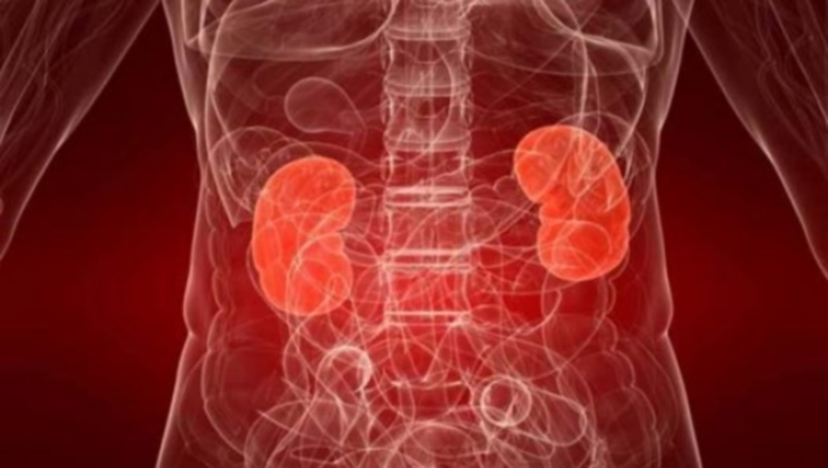 Τα ‘αθώα’ συμπτώματα που δείχνουν πυελονεφρίτδα – Τι είναι και πού οφείλεται η νόσος