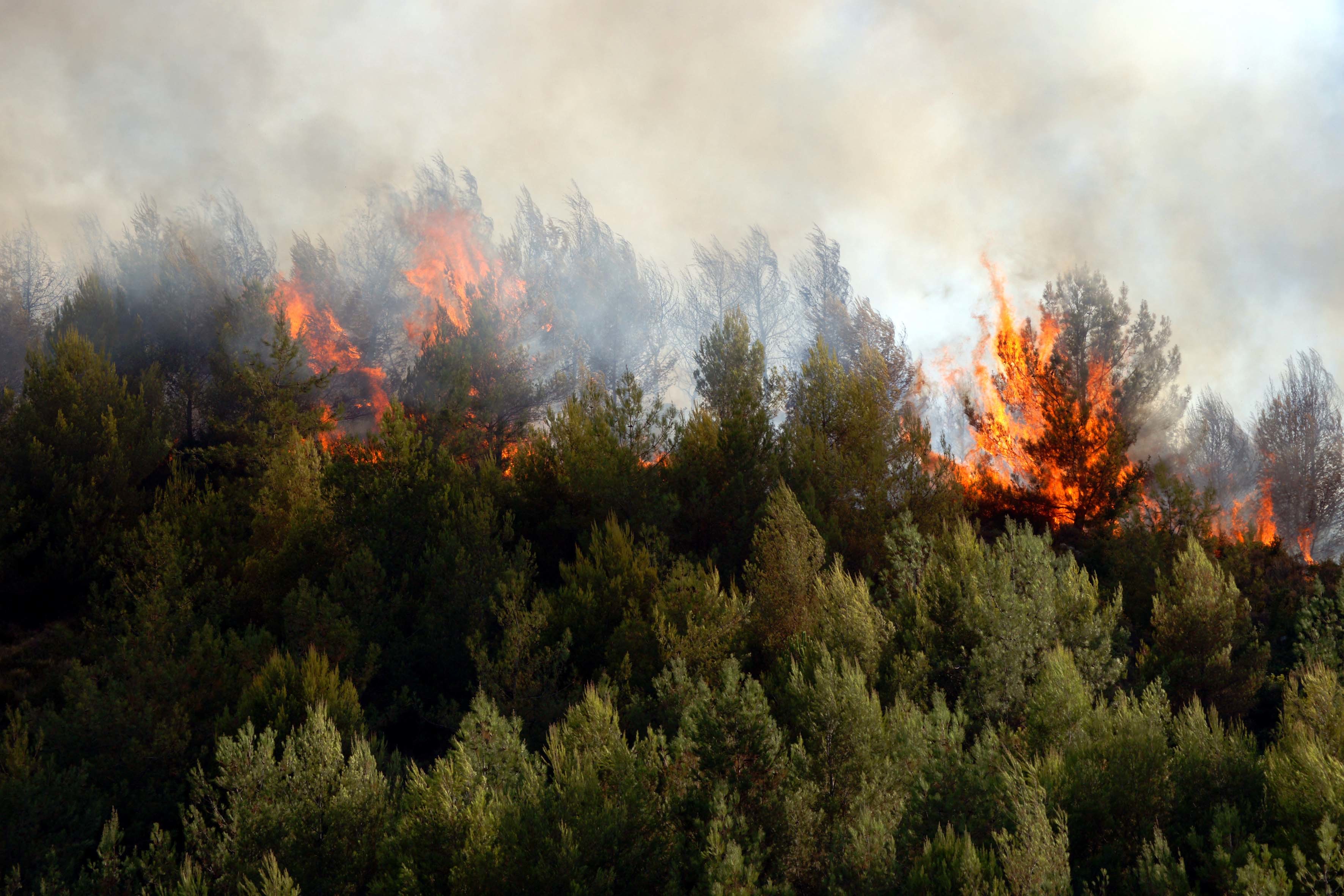 Νέο μέτωπο πυρκαγιάς στο Σμάρι Ηρακλείου – Υπό έλεγχο η φωτιά σε Ελούντα και Ομαλό