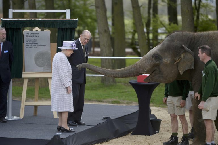 Ο ελέφαντας που αγάπησε τη Βασίλισσα [pics, vid]