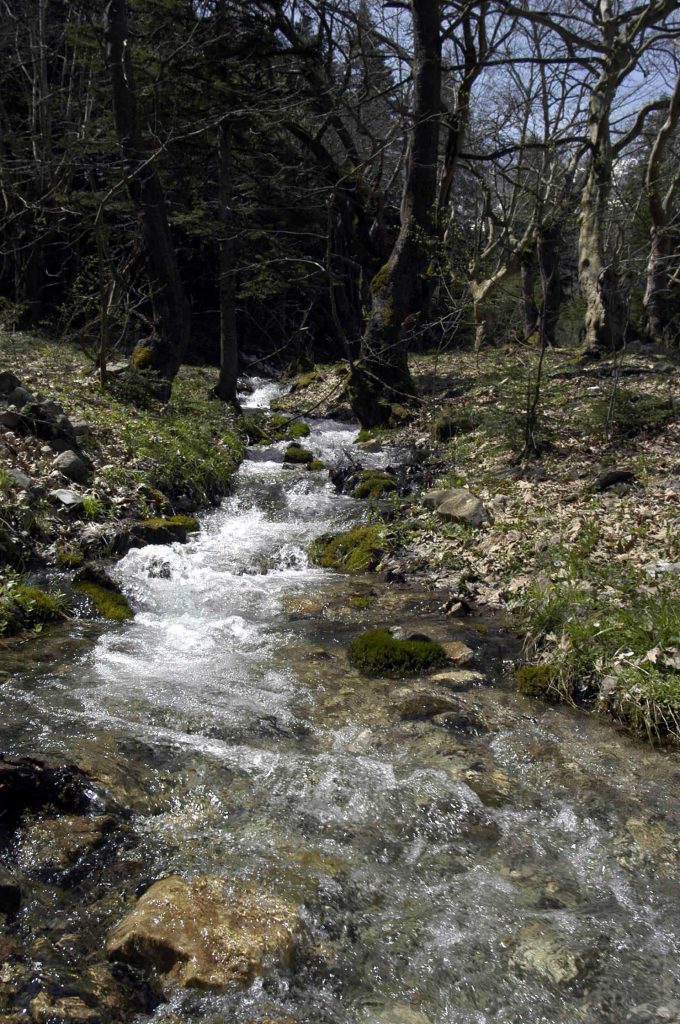 Αλεξανδρούπολη: Νεκρή 70χρονη αγνοούμενη