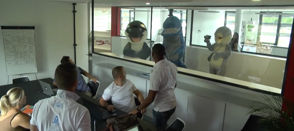 Τα ζώα τρολάρουν τους ανθρώπους
