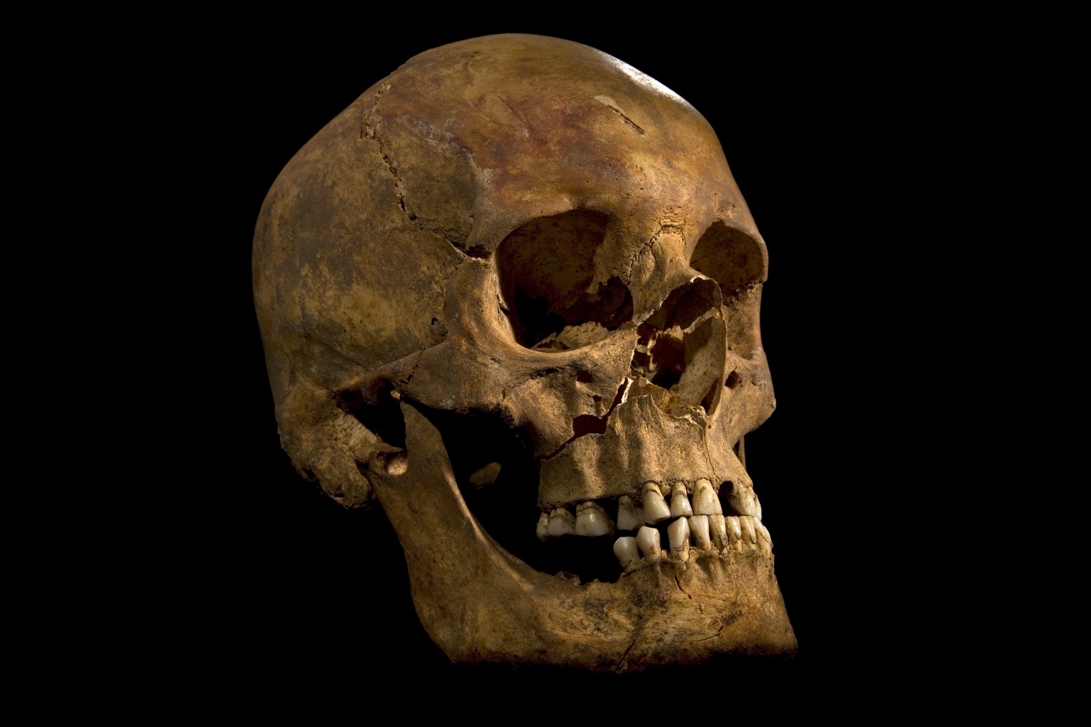 Ιστορική ανακάλυψη: βρήκαν τα λείψανα του Ριχάρδου του 3ου! (ΦΩΤΟ)