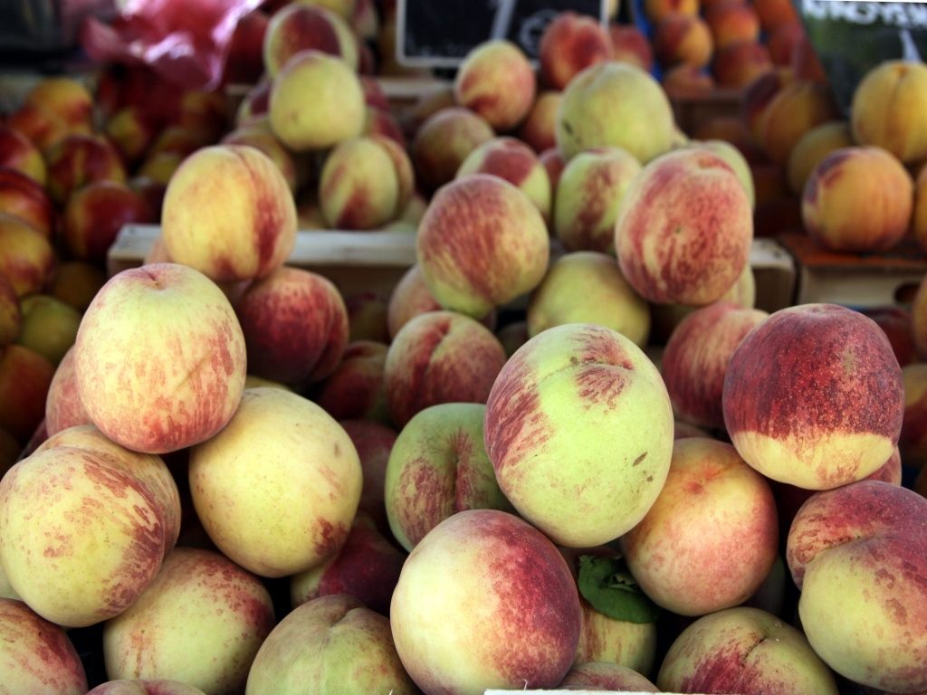 ΦΩΤΟ ΑΡΧΕΙΟΥ EUROKINISSI