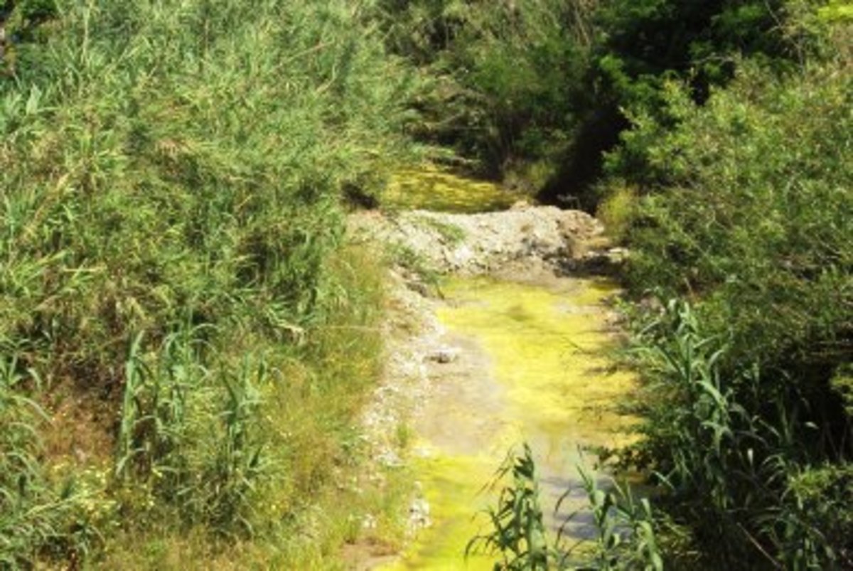 Ρόδος: Κίτρινο… ποτάμι!