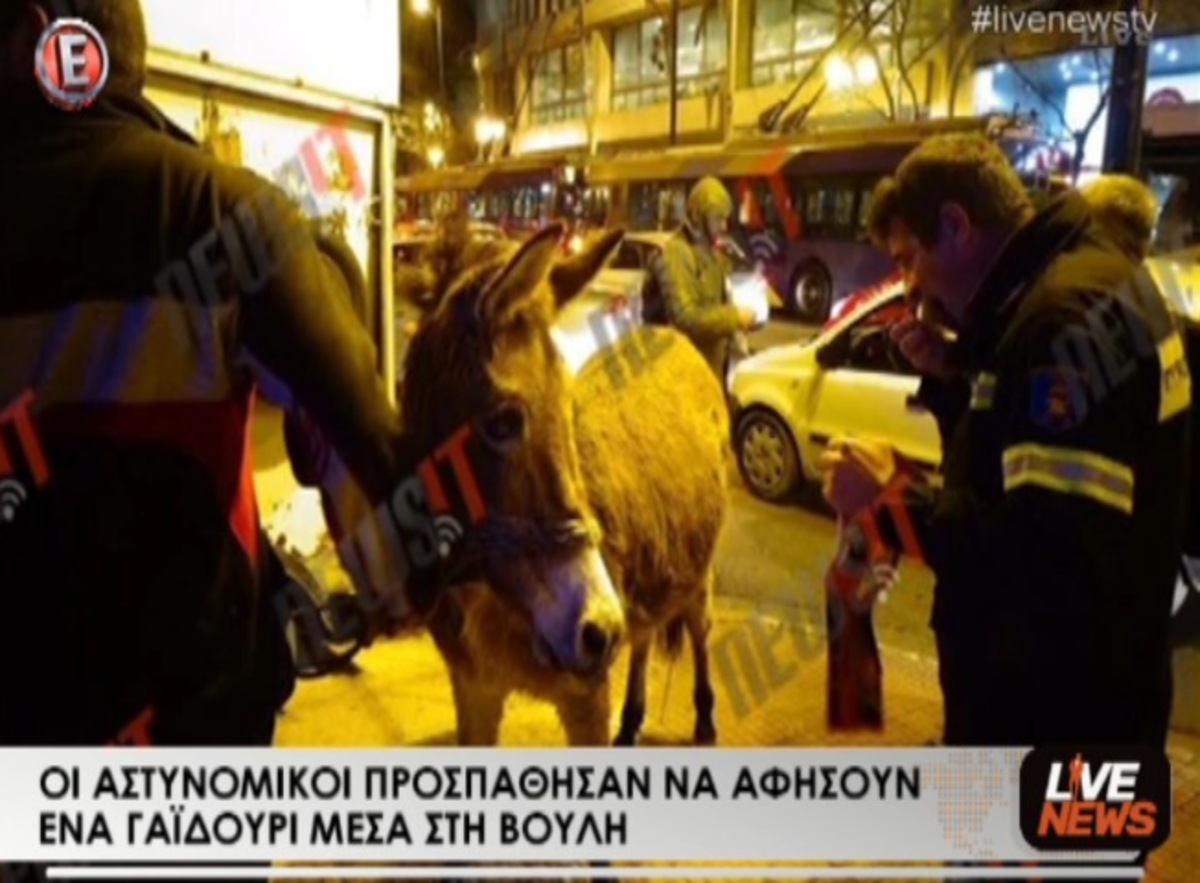 Τα καλύτερα των δελτίων