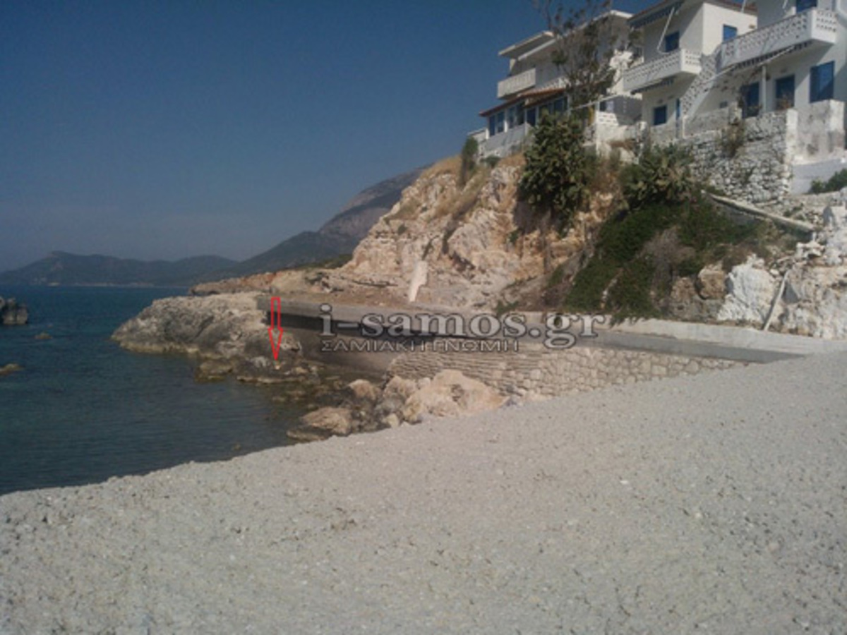 Σάμος: “Μπαλάκι” μεταξύ φορέων μία φώκια που κείτεται νεκρή εδώ και μία εβδομάδα