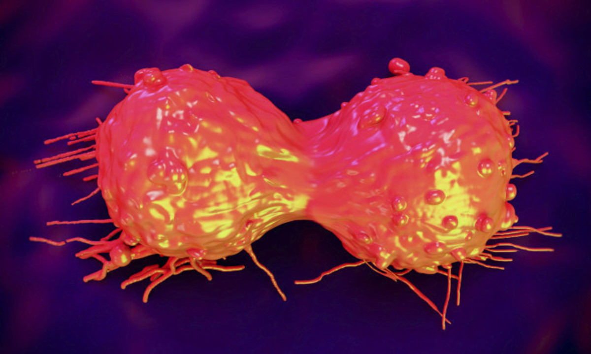 Στο κόκκινο οι νεοπλασίες στην Κρήτη τα τελευταία 20 χρόνια – Στοιχεία ΣΟΚ από το Κέντρο Καταγραφής Καρκίνου