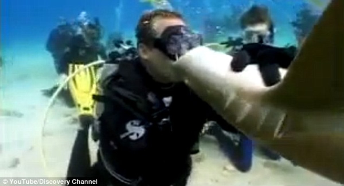 Акулы боятся пузырьков воздуха