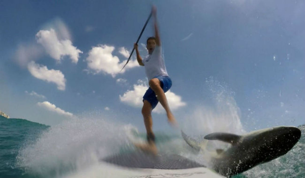 Συγκλονιστικό βίντεο: Εμφανίστηκε καρχαρίας την στιγμή που έκανε surfing!