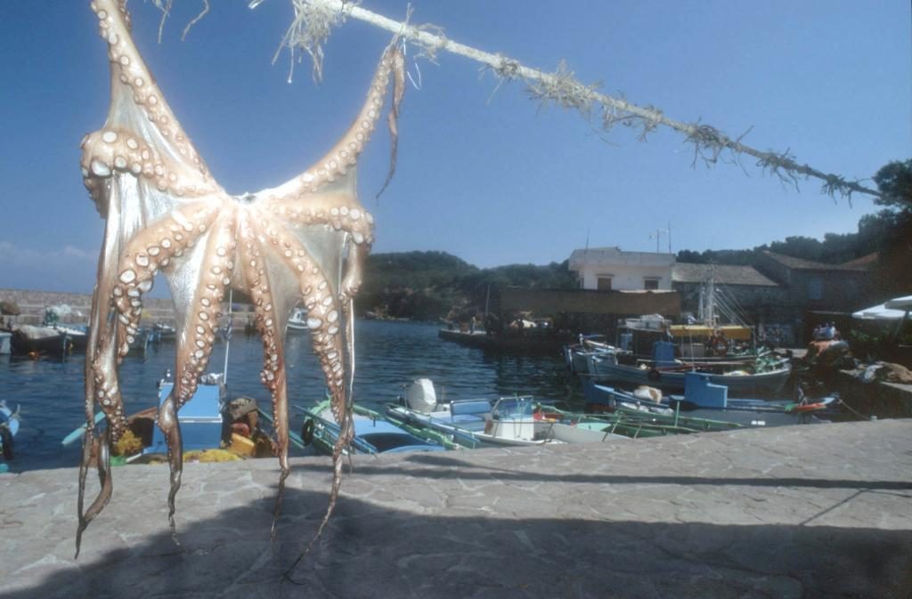 ΦΩΤΟ ΑΡΧΕΙΟΥ EUROKINISSI