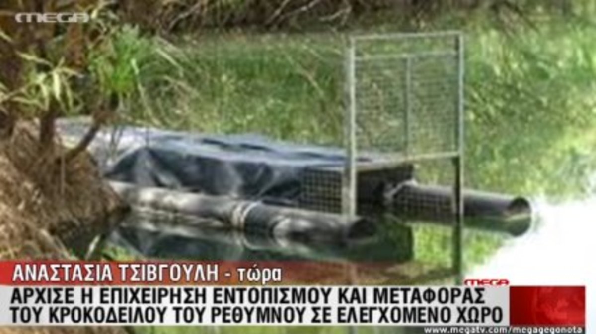 Η επιχείρηση για τον…”Σήφη”