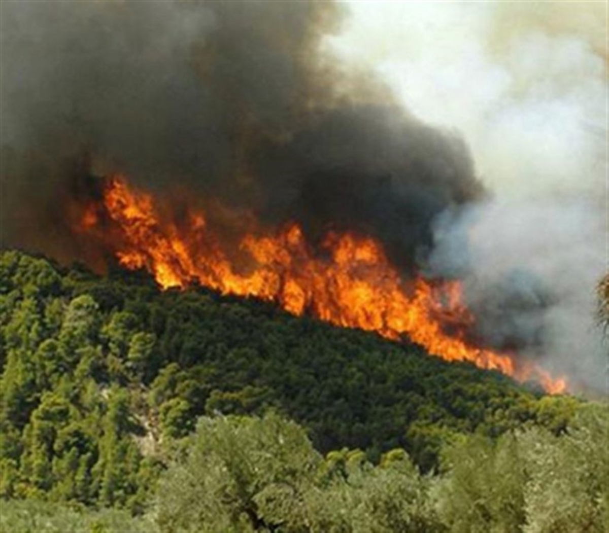ΦΩΤΟ από arcadiaportal.gr