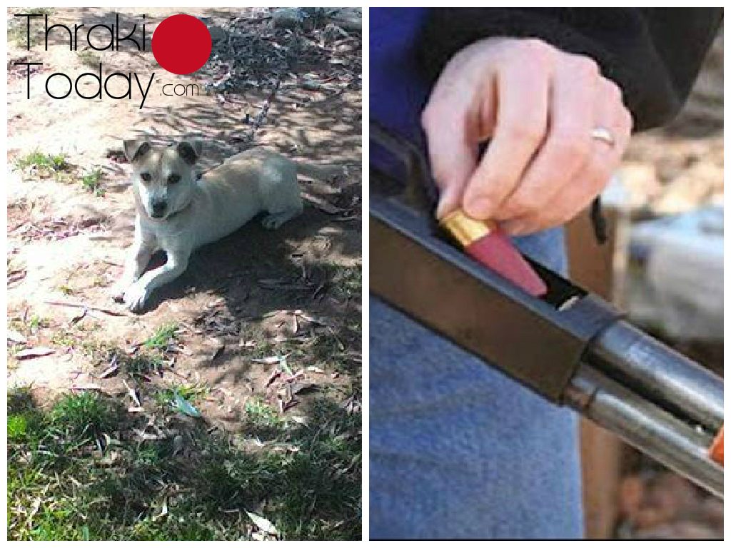 ΦΩΤΟ από thrakitoday.com