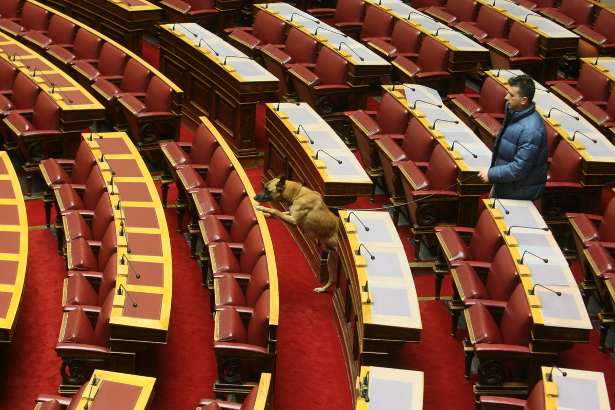 Ένας σκύλος μέσα στη Βουλή – ΦΩΤΟ