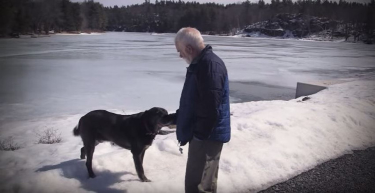 71χρονος γλίστρισε στον πάγο και έσπασε το πόδι του – Δείτε πώς τον έσωσε ο σκύλος του