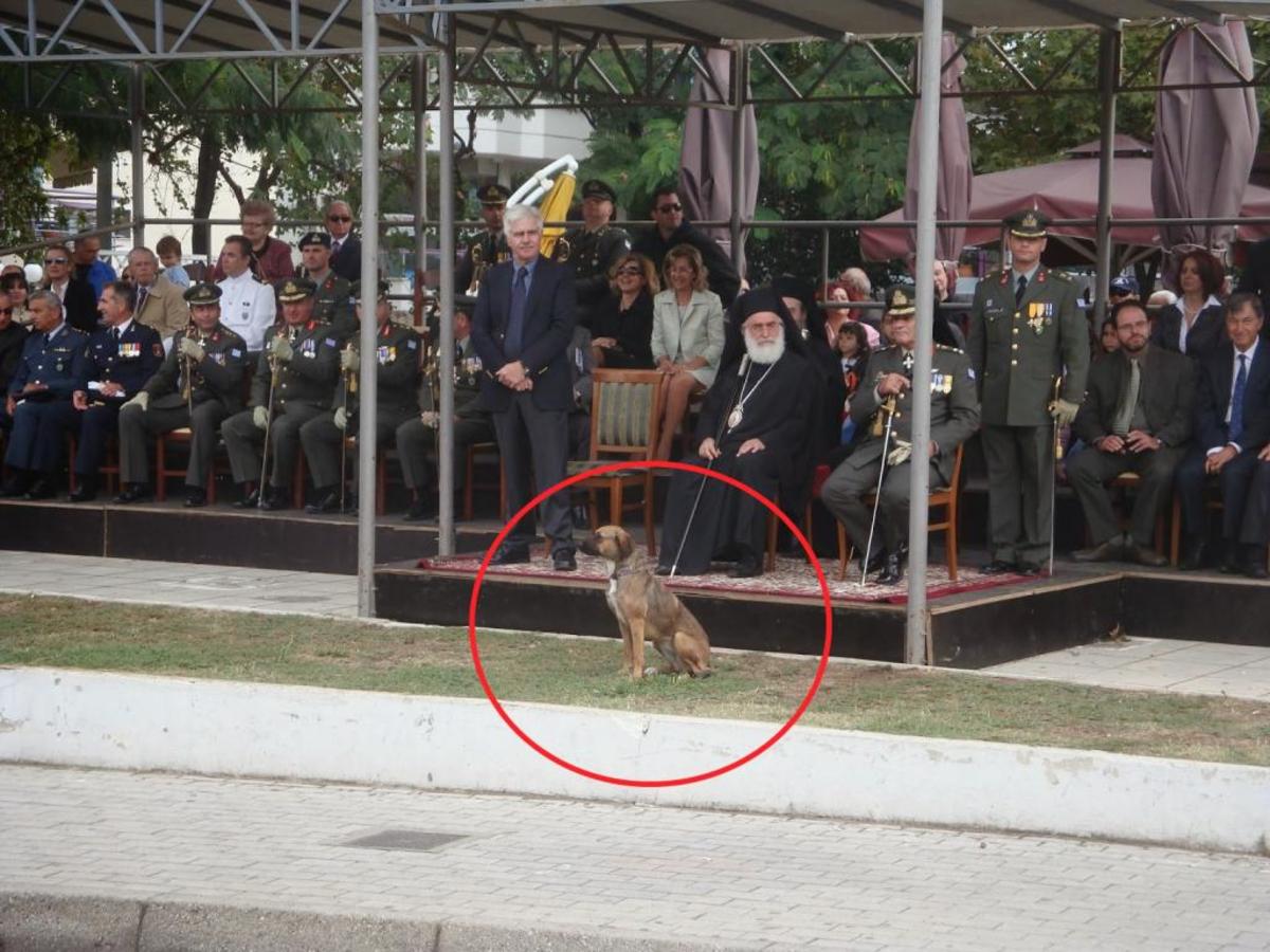 ΦΩΤΟ από το ThrakiToday