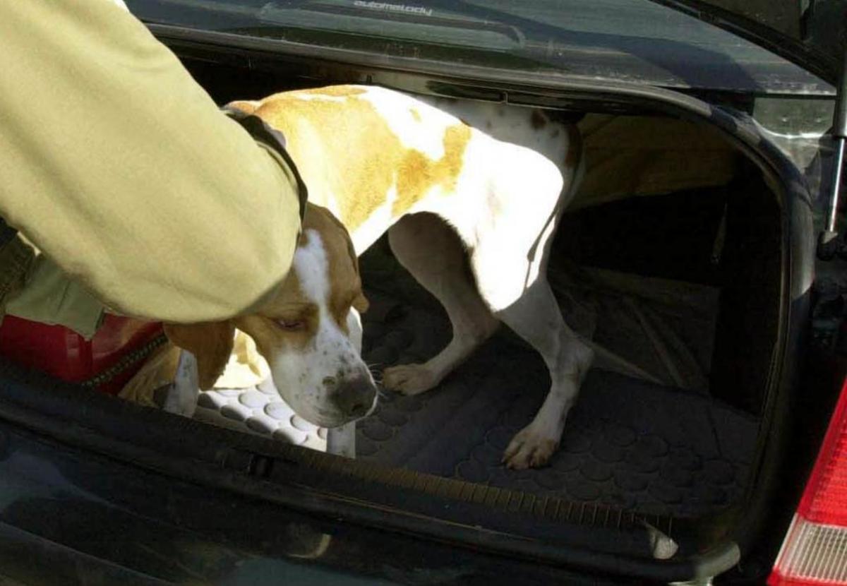 ΦΩΤΟ ΑΡΧΕΙΟΥ EUROKINISSI