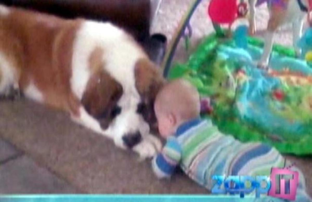 ΔΕΙΤΕ μωράκια και σκυλάκια σε τρυφερές στιγμές!