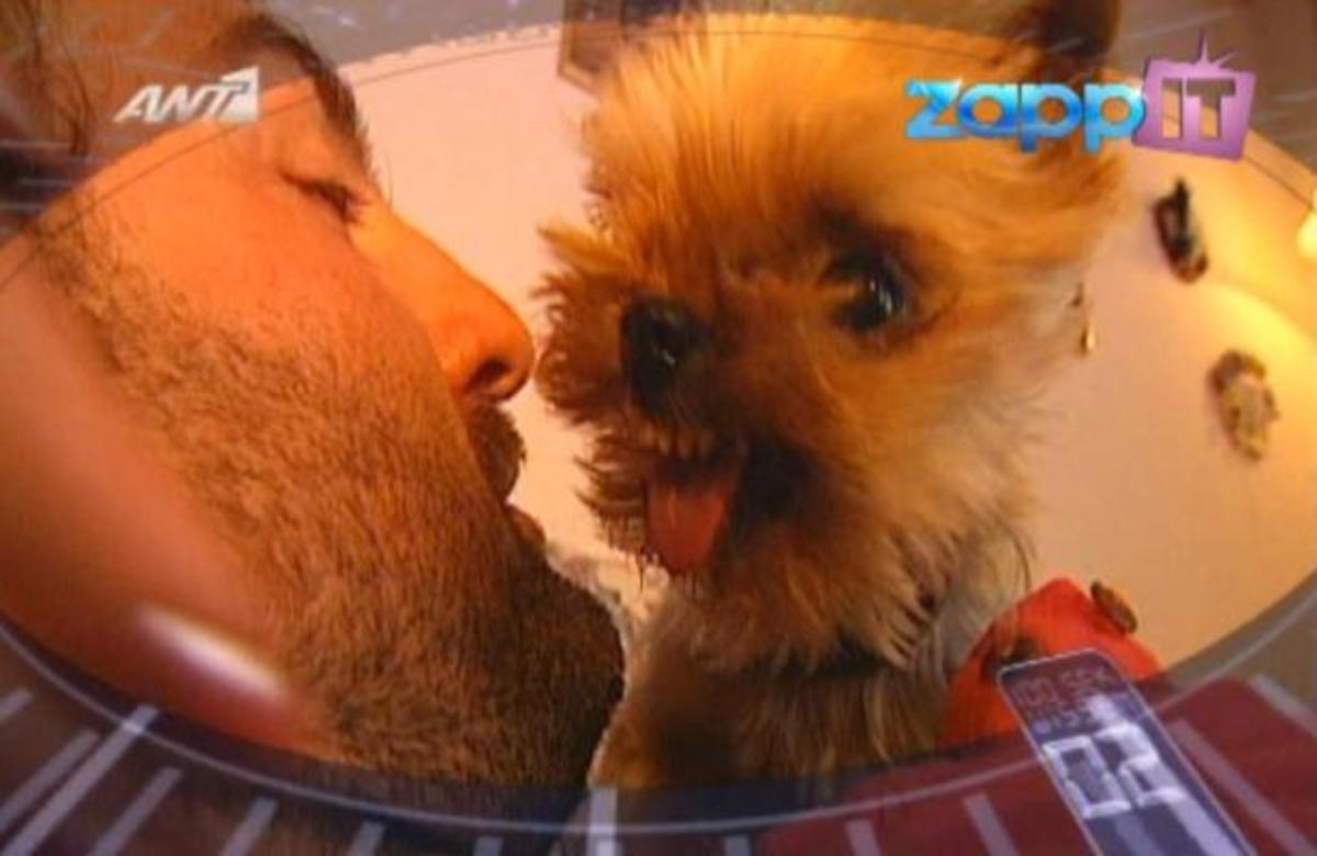 “Σκύλος που γαβγίζει, δεν δαγκώνει”… Ισχύει;