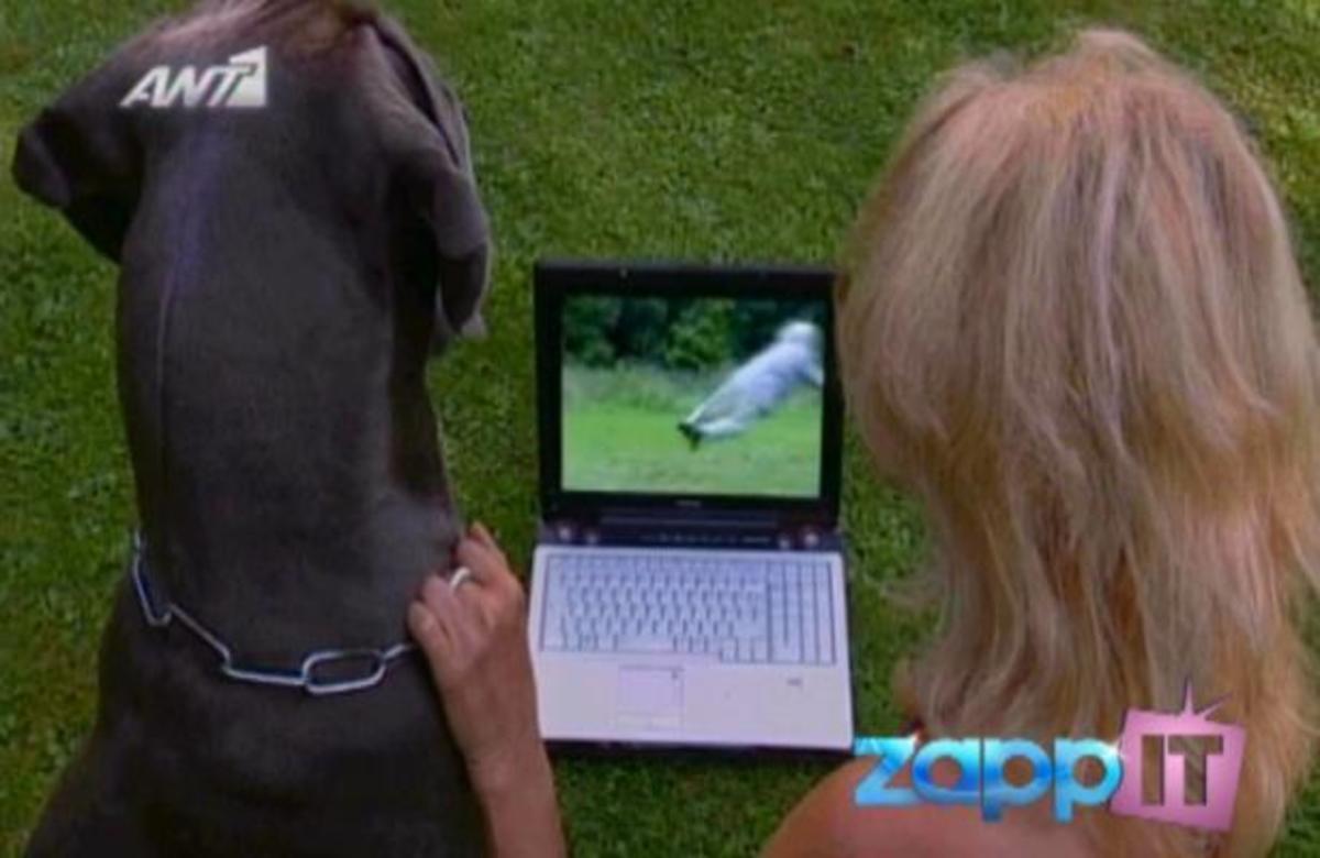 Αλήθεια ή ψέμα; Μπορεί να σηκώσει ένας σκύλος έναν άνθρωπο στον αέρα;