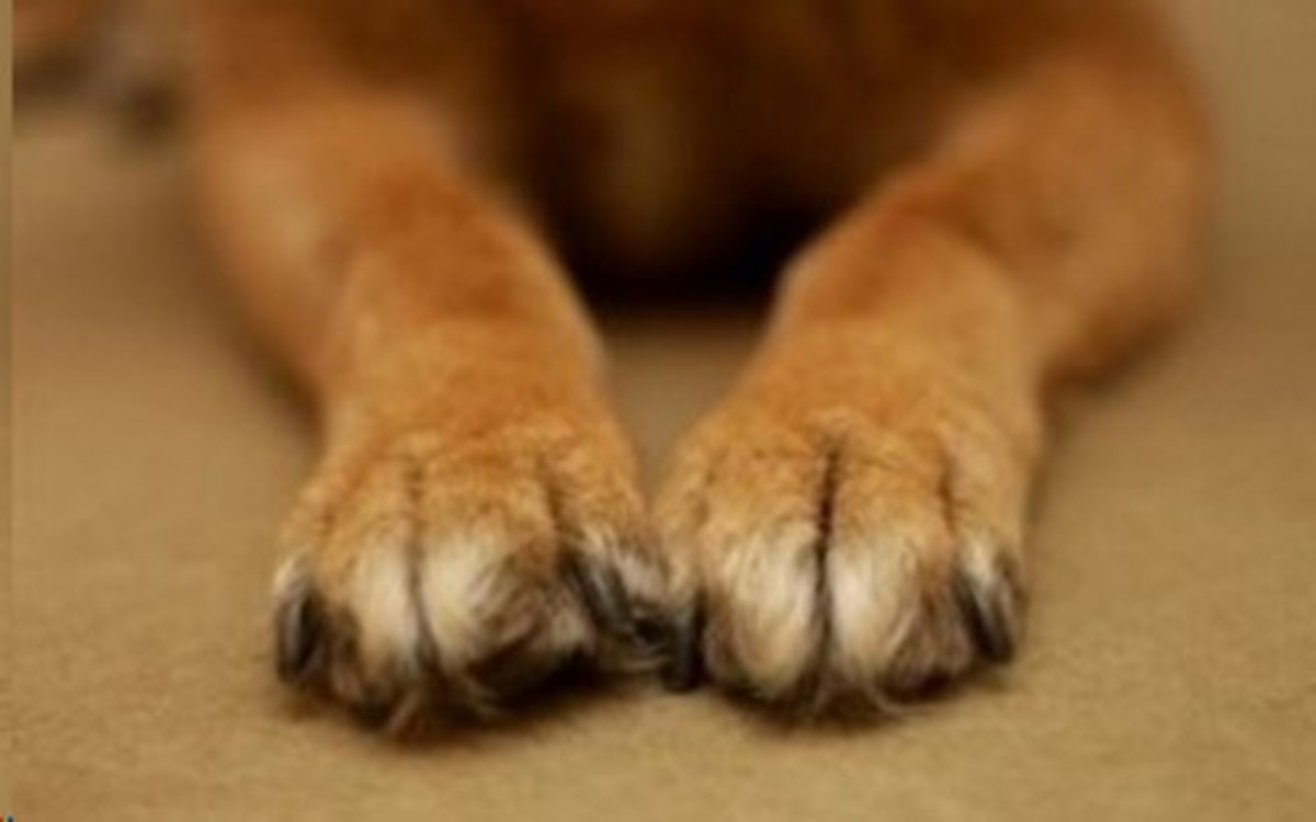 ΦΩΤΟ ΑΡΧΕΙΟΥ