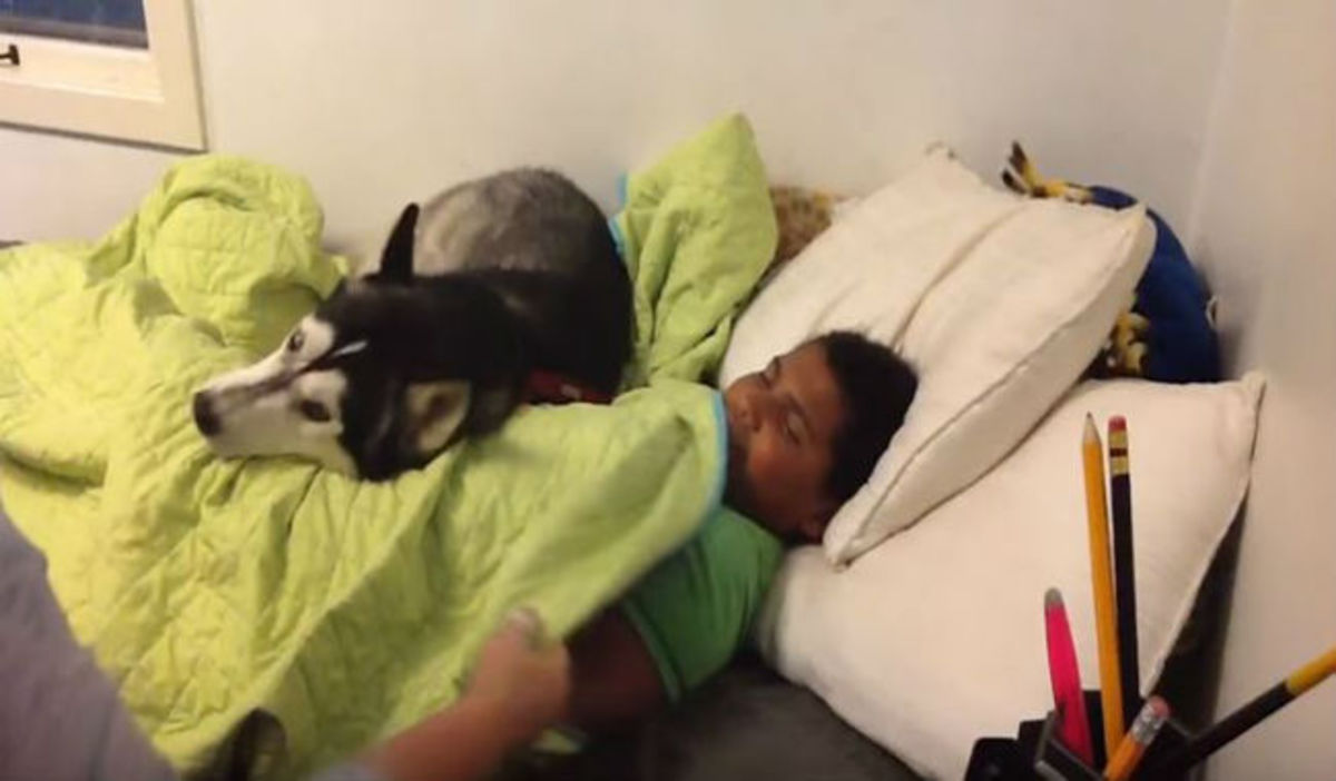 Προσπαθεί να ξυπνήσει το γιο της για να πάει σχολείο – Δείτε όμως τι κάνει ο σκύλος (ΒΙΝΤΕΟ)