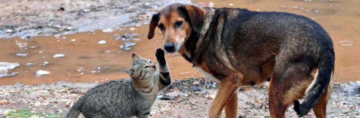 ΦΩΤΟ ΑΡΧΕΙΟΥ EUROKINISSI