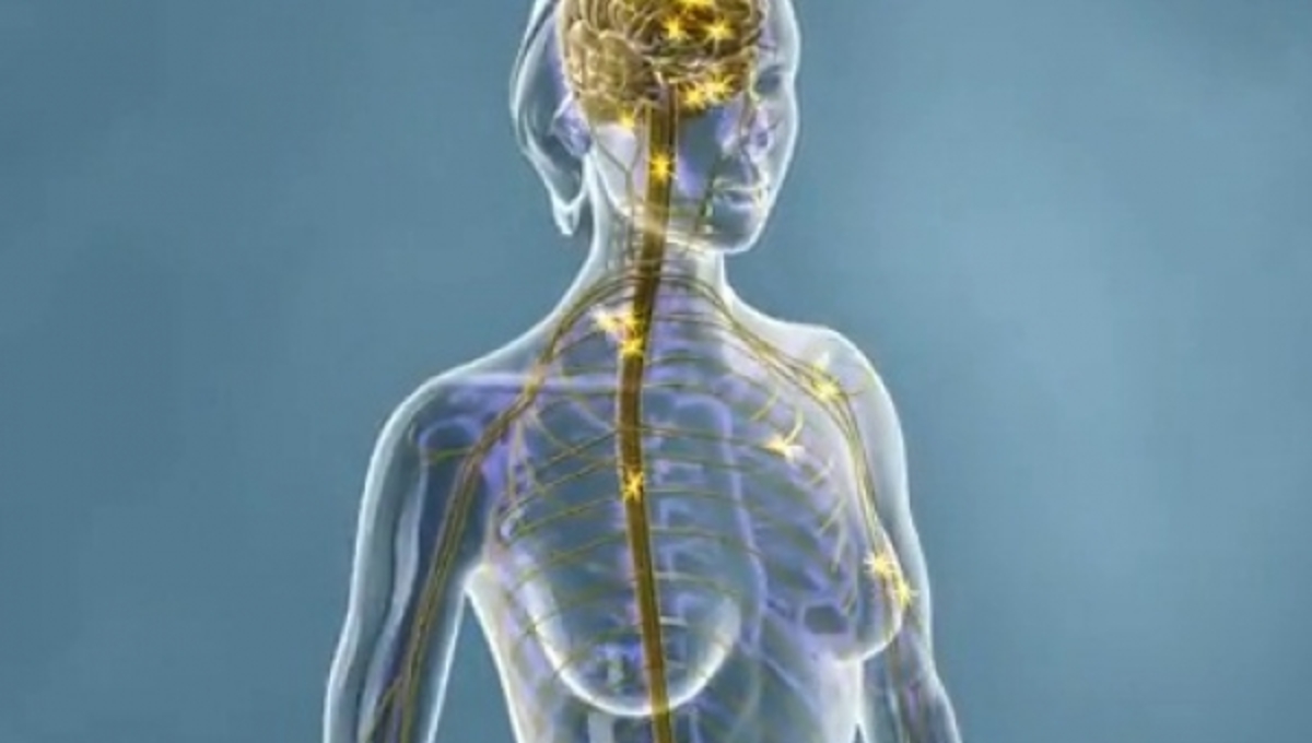 Σκλήρυνση κατά πλάκας: δείτε πως χτυπάει το νευρικό σύστημα-ΒΙΝΤΕΟ