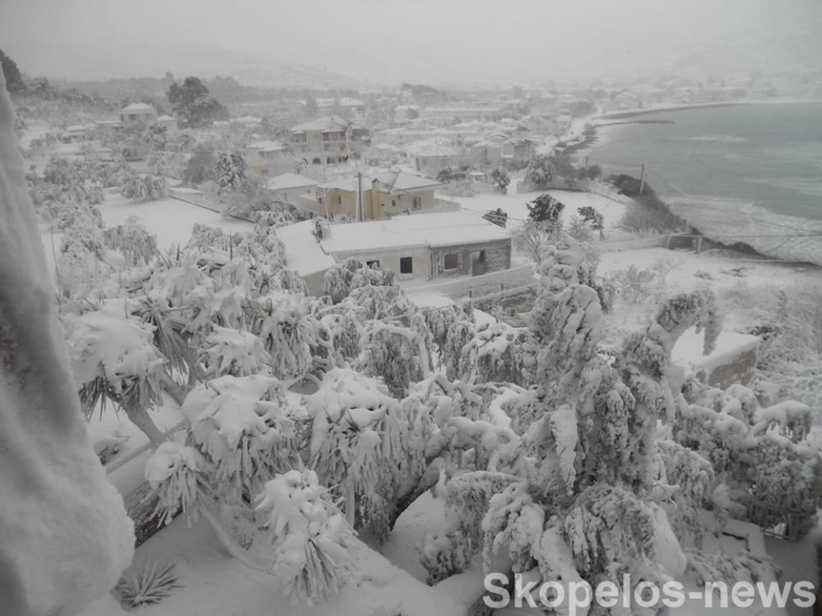 ΦΩΤΟ από skopelos-news