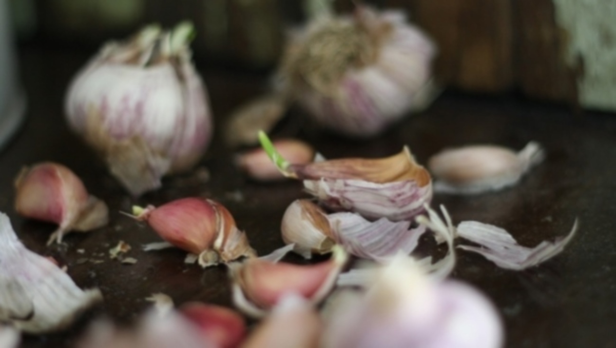 Σκόρδο: Ποιοι πρέπει να το αποφεύγουν – Λόγοι υγείας!