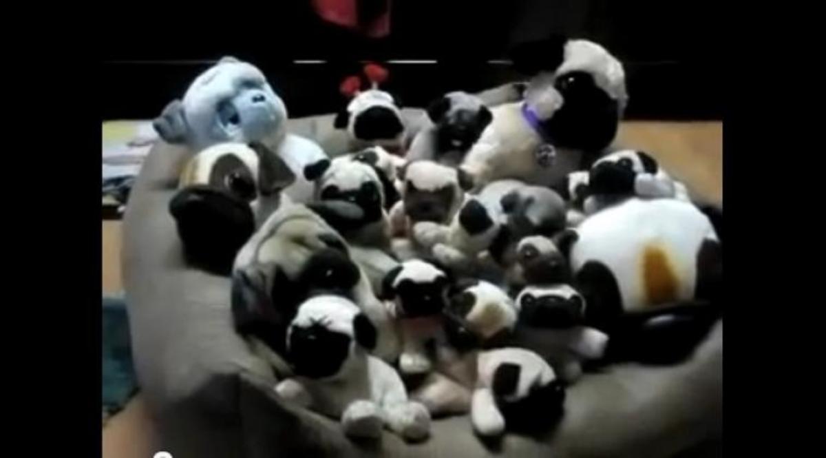 Μπορείτε να βρείτε ποιό είναι το αληθινό ;