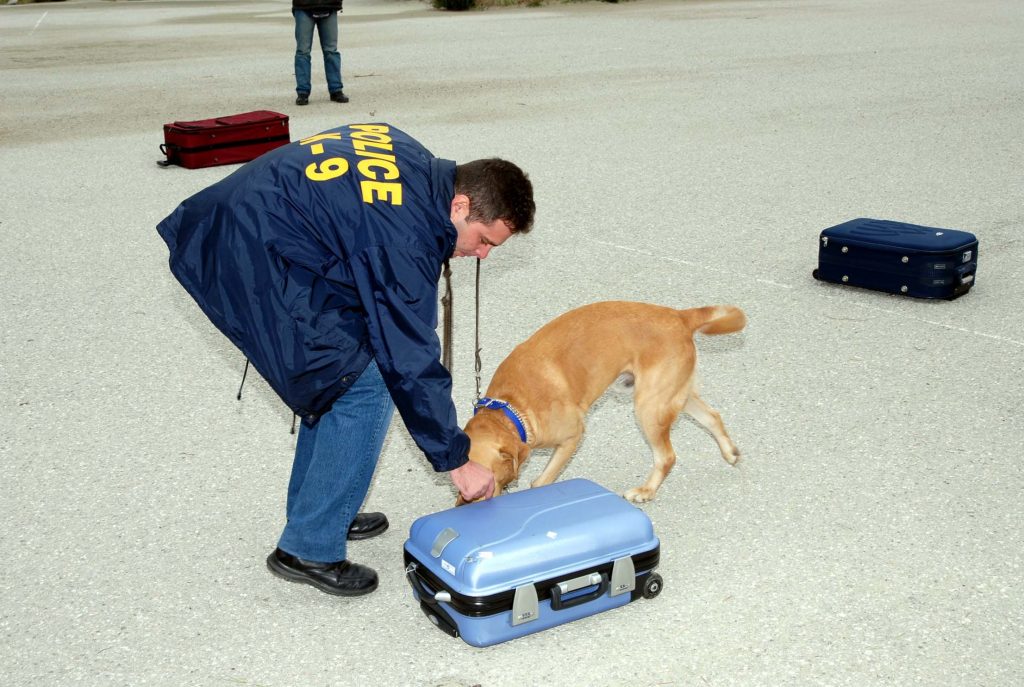 Κεφαλονιά: Ο σκύλος τους οδήγησε στο τμήμα…