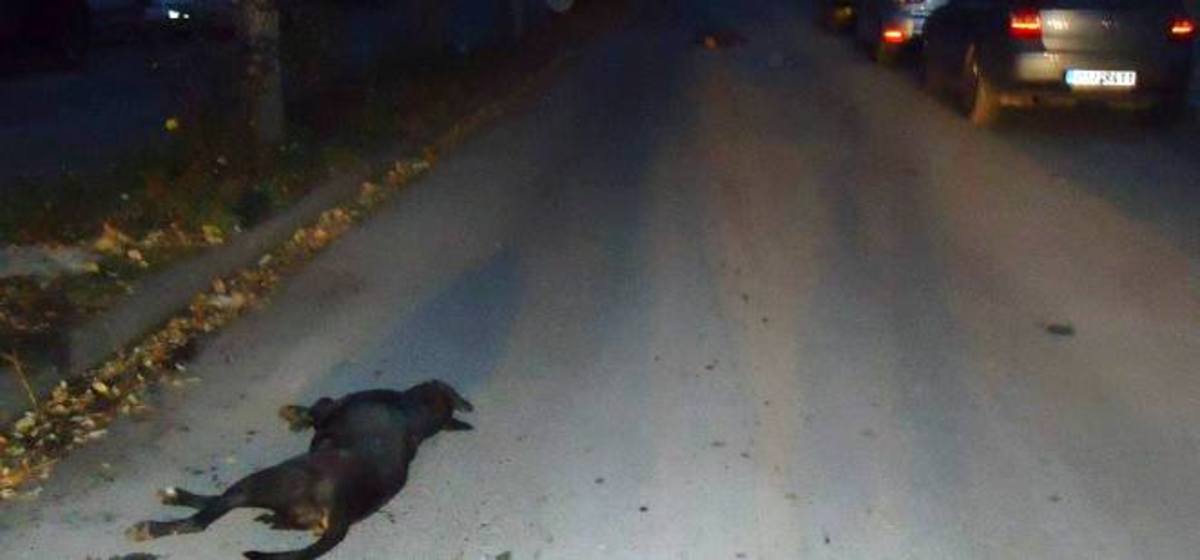 ΦΩΤΟ από thessalianews.gr