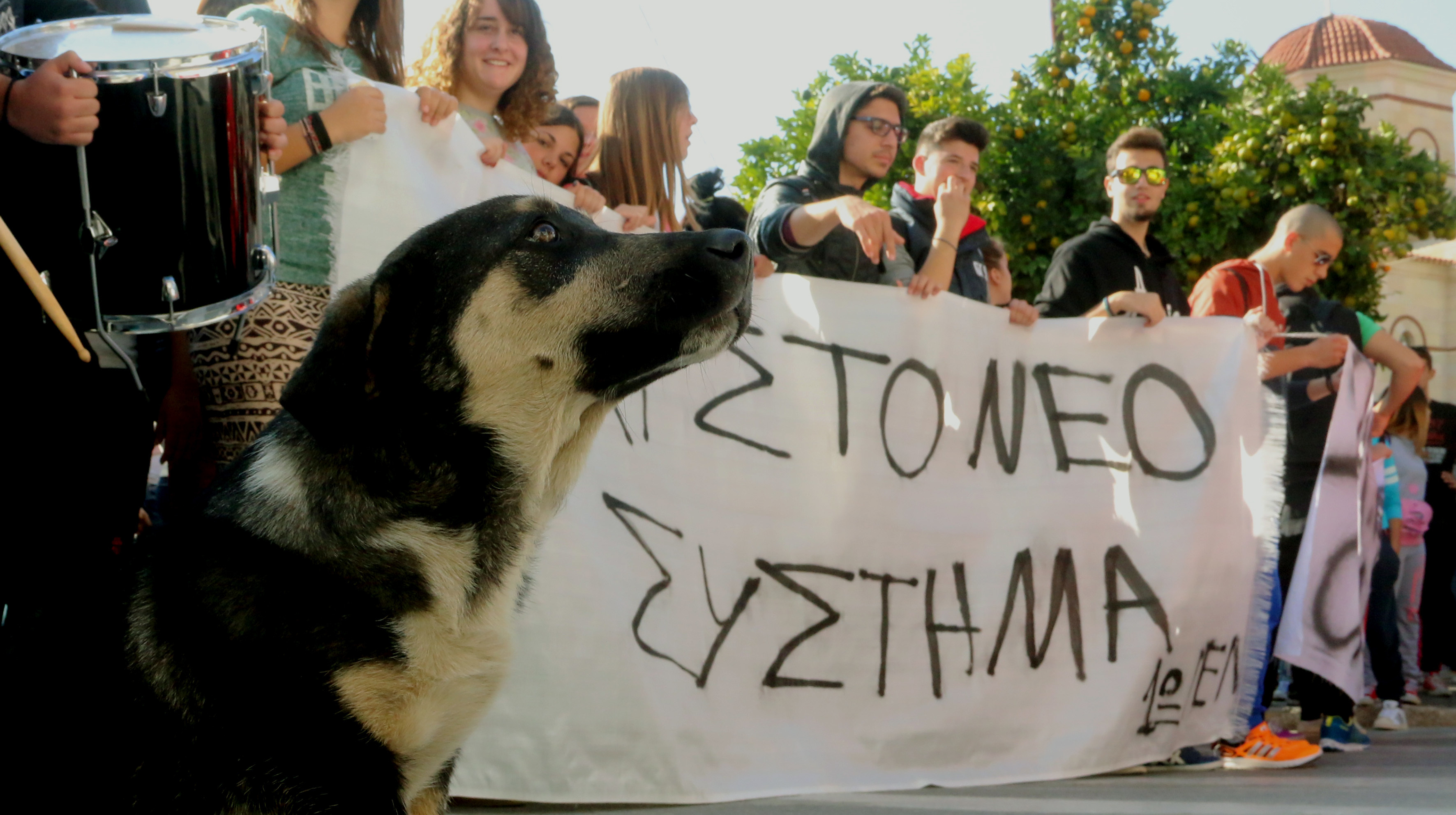 ΦΩΤΟ EUROKINISSI