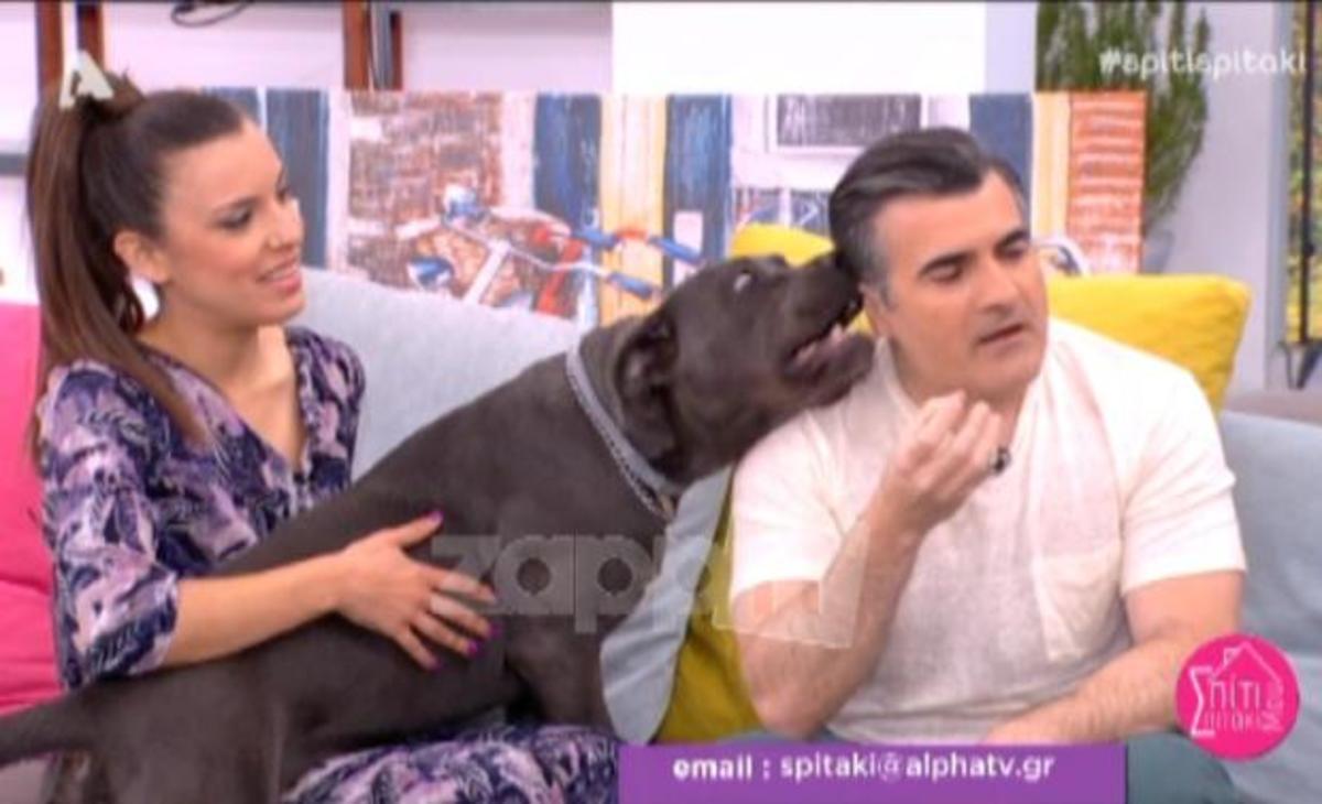 Ο σκύλος της Σπυροπούλου επιτέθηκε on air στον Παύλο Σταματόπουλο!