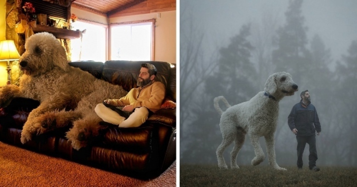 Ένας φωτογράφος λατρεύει τον σκύλο του και το αποδεικνύει με αυτές τις φωτογραφίες!