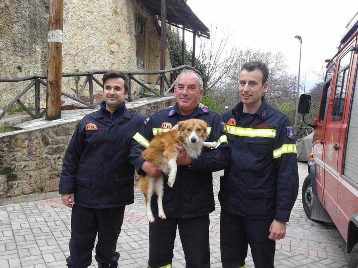 ΦΩΤΟ: Πυροσβέστες έσωσαν σκύλο που έπεσε σε ποτάμι στη Βέροια
