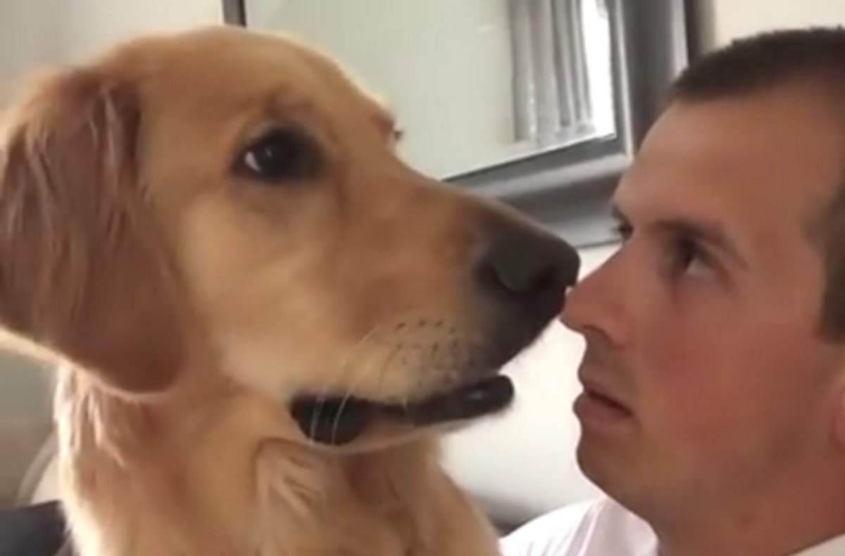 Απίστευτη αντίδραση σκύλου όταν μαθαίνει ότι έχει αποκτήσει αδερφάκι! Έπαθε σοκ!