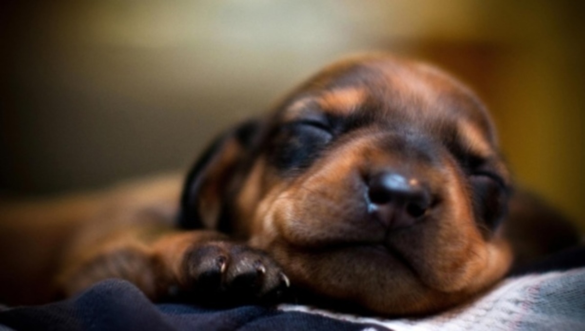 Δυσκολία στον ύπνο; Δείτε την τεχνική 4-7-8 για να αποκοιμηθείτε σε 1′