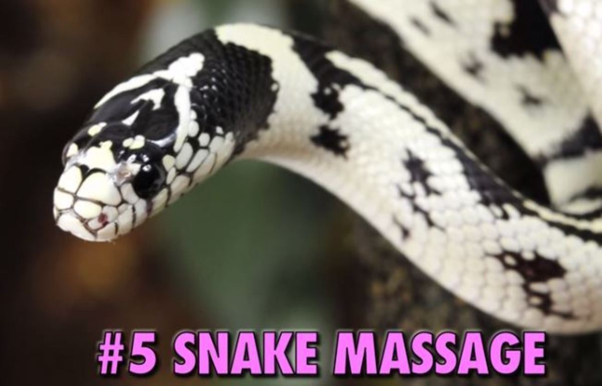 Αυτοί είναι οι πιο ασυνήθιστοι τρόποι για ομορφιά που έχετε δει ποτέ (ΒΙΝΤΕΟ)