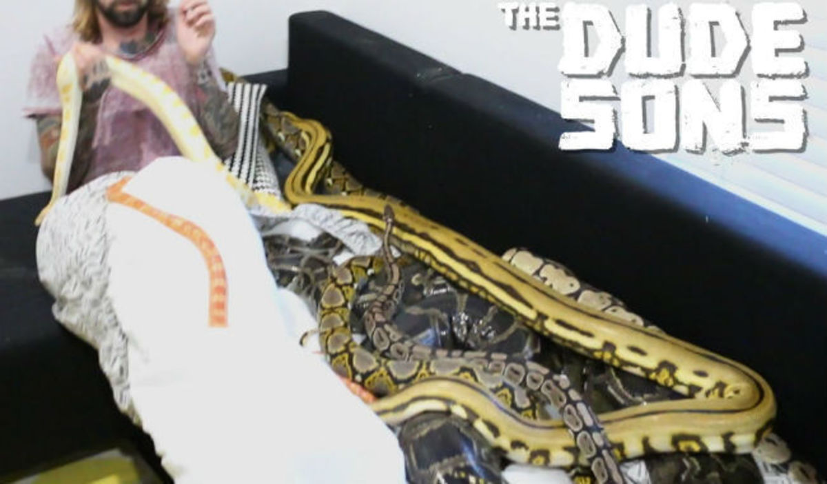 Άφησαν τρία τεράστια φίδια πάνω στο κρεβάτι του – Δείτε την αντίδραση του, όταν ξύπνησε! (ΒΙΝΤΕΟ)