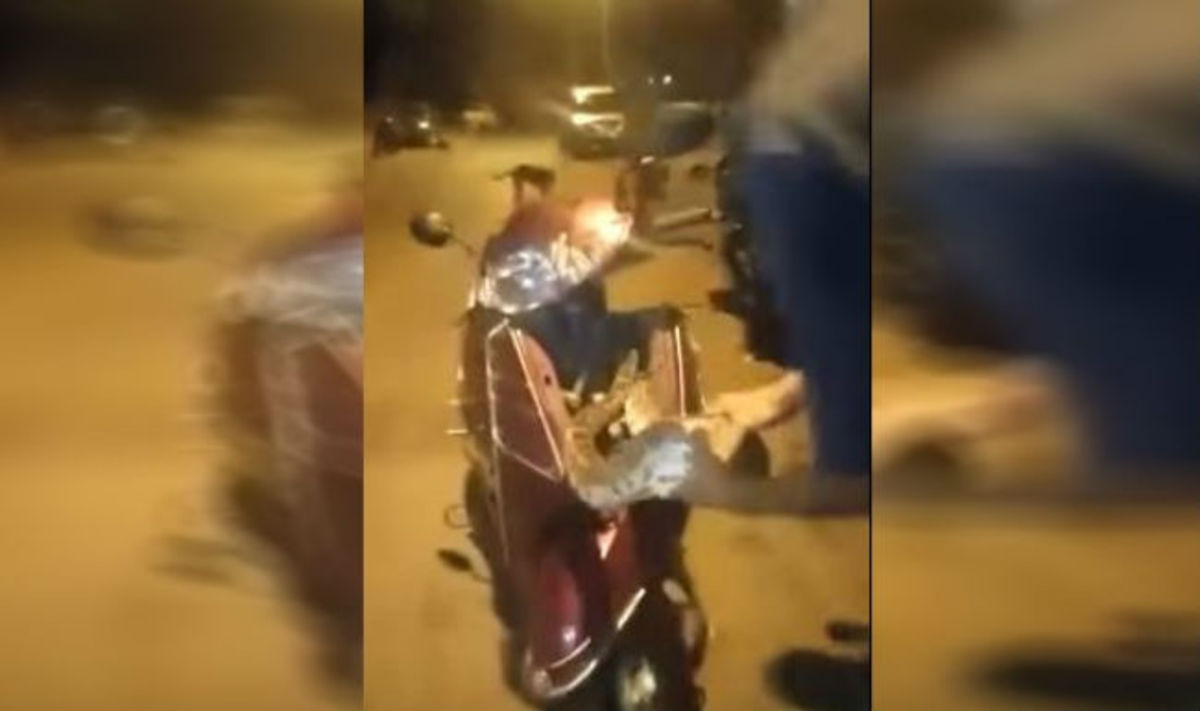 Απίστευτο: Τεράστιος πύθωνας είχε σφηνώσει μέσα στο μηχανάκι του και τον έβγαλε με γυμνά χέρια!