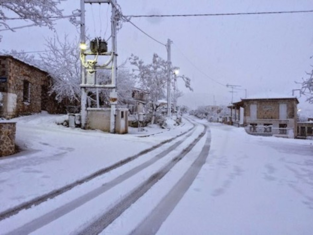 ΦΩΤΟ ΑΡΧΕΙΟΥ