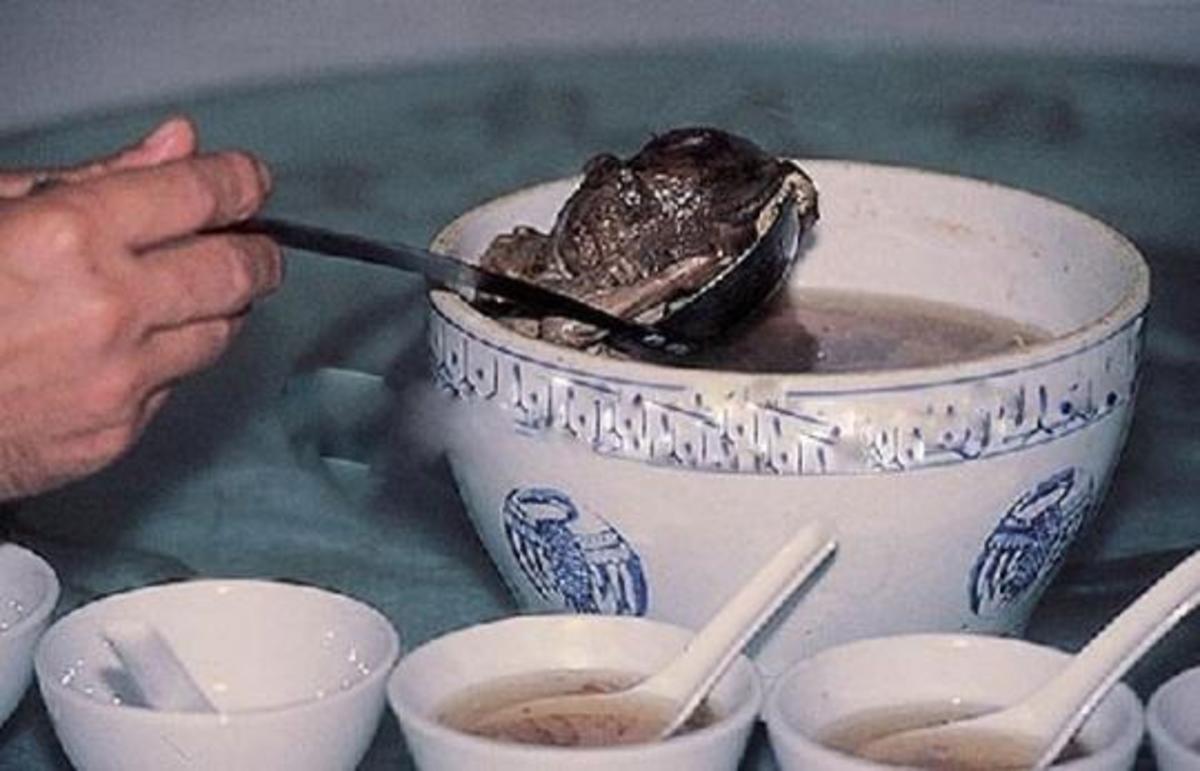Где едят людей страна. Китайский суп из младенцев.
