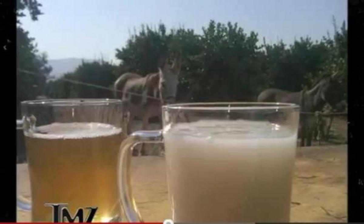 ΣΟΚ! Σε πολύ γνωστό τηλεπαιχνίδι τους εδωσαν να πιουν σπέρμα ζώου”! ΔΕΙΤΕ βίντεο!