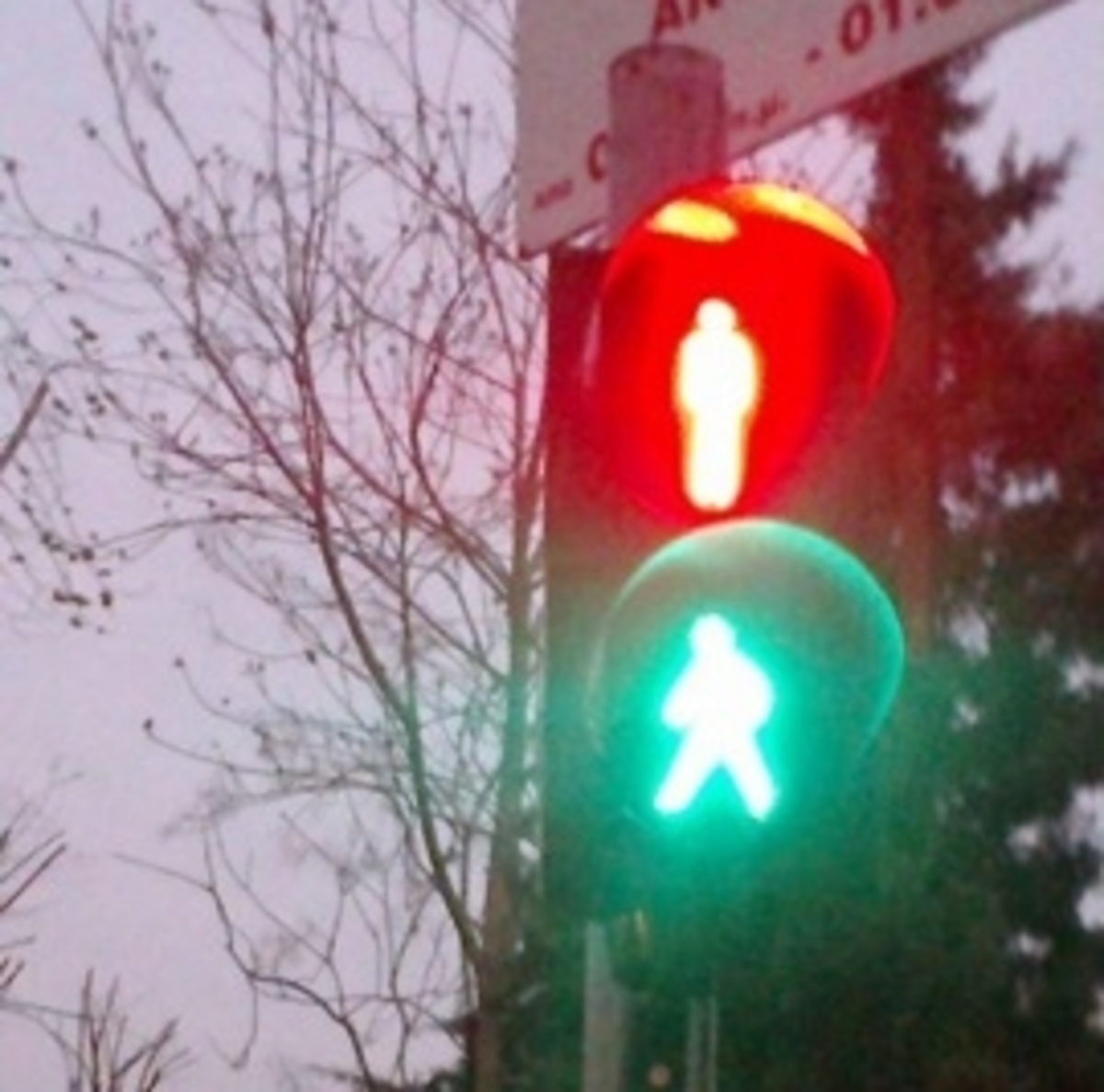 ΦΩΤΟ από seleo.gr