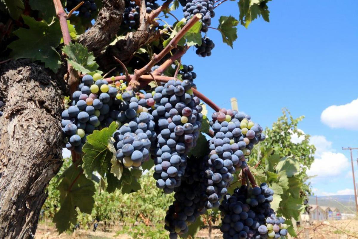 ΦΩΤΟ ΑΡΧΕΙΟΥ EUROKINISSI