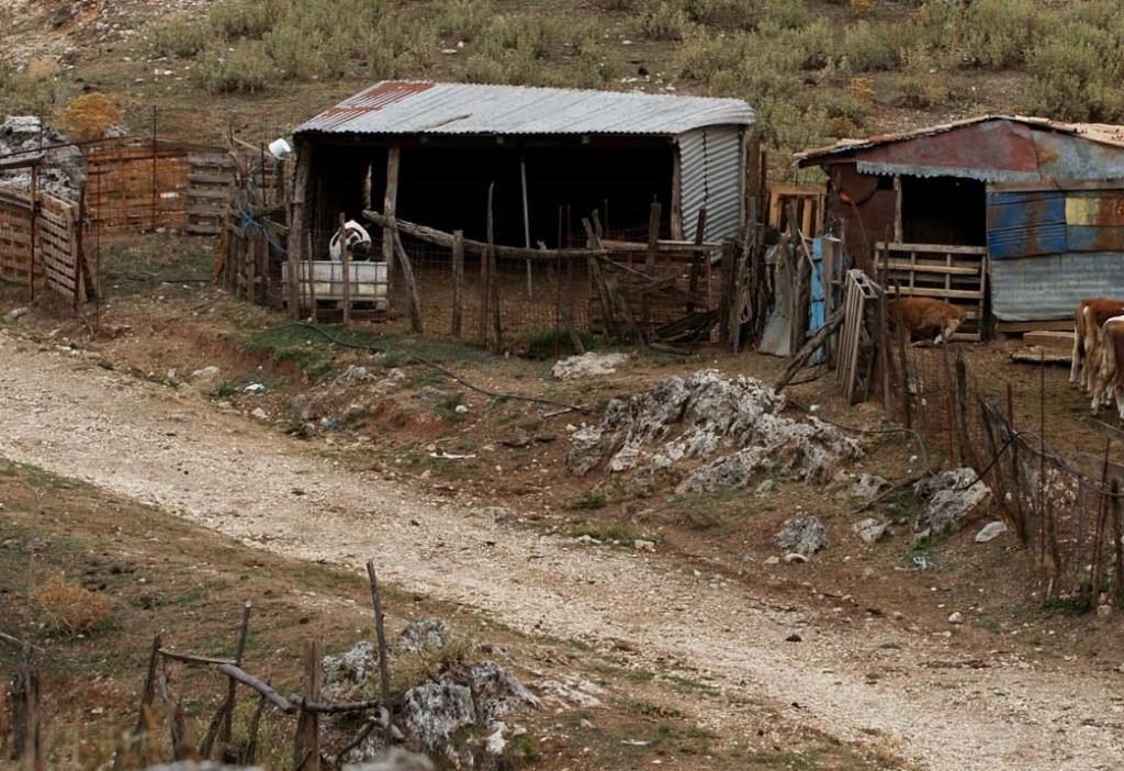 ΦΩΤΟ ΑΡΧΕΙΟΥ EUROKINISSI