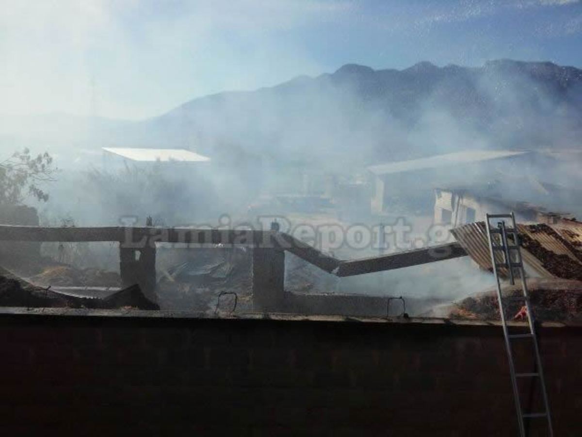 “Στάχτη” στάβλος στη Φθιώτιδα – Πρόλαβαν και έσωσαν τα ζώα! ΦΩΤΟ